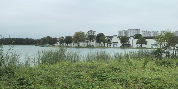 蚌埠龙子湖区龙子湖风景区景观