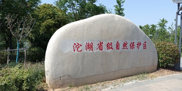 蚌埠五河县沱湖风景区景观