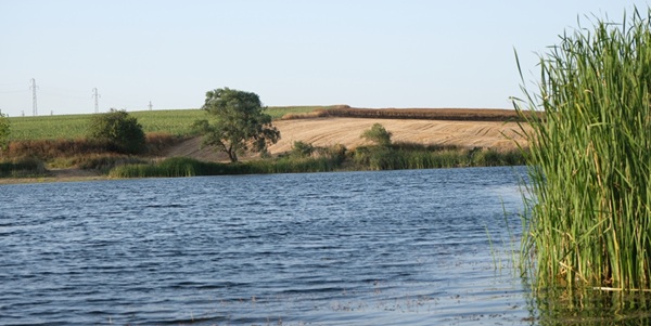 利辛县白鹭洲自然保护区景观