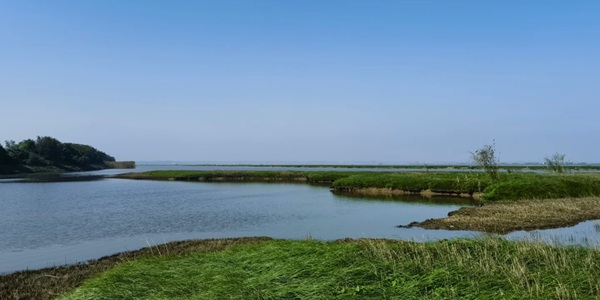 东至县升金湖景观