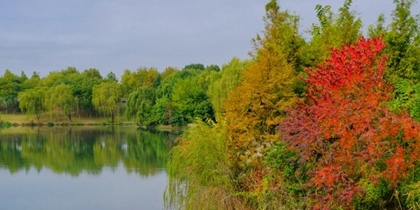 天长市红草湖湿地公园景观