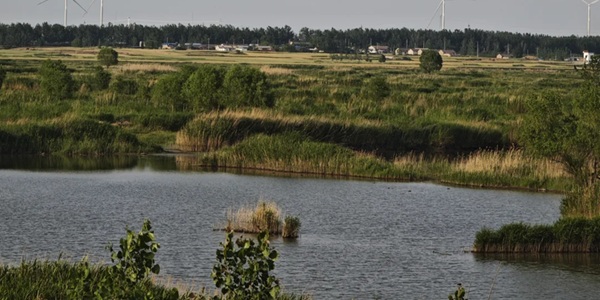 阜南县王家坝国家湿地公园景观