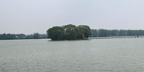 颍上县八里河风景区景观