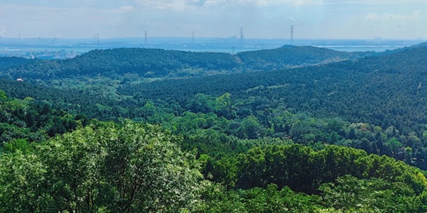 淮南大通区上窑森林公园景观
