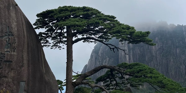黄山区黄山风景区景观