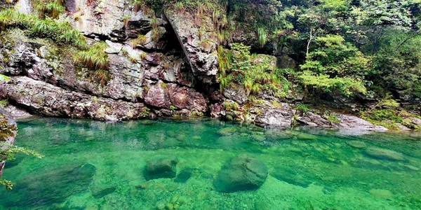 黄山祁门牯牛降景观