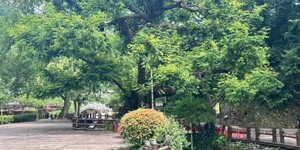 铜陵义安区凤凰山景观