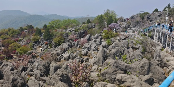 芜湖南陵县丫山花海石林景观