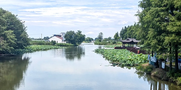 芜湖湾沚区陶辛水韵景观