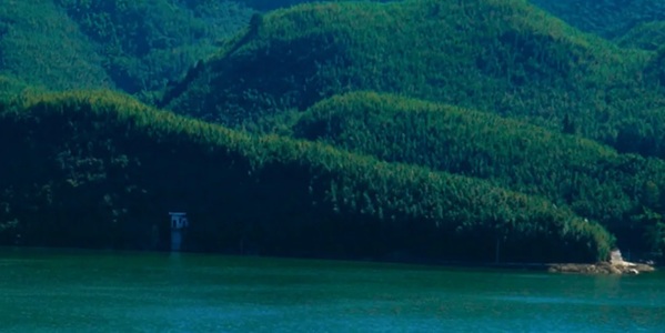 重庆梁平区百里竹海