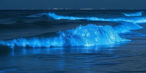 平潭坛南湾蓝眼泪景观图