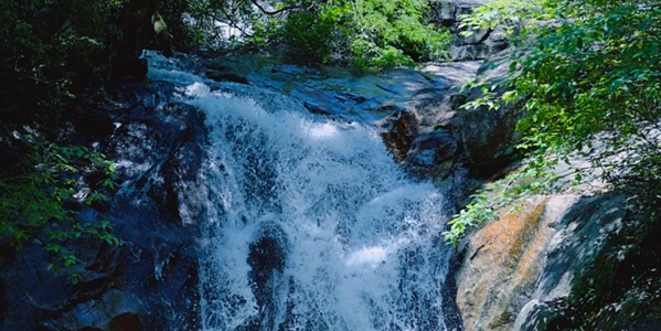 武平梁野山景观图