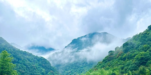 南平光泽乌君山云海全景图