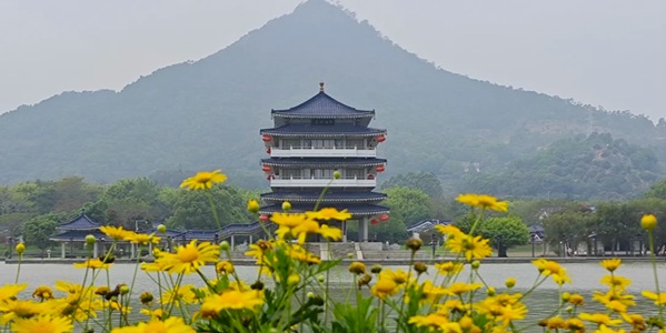 漳州云霄将军山公园全景图