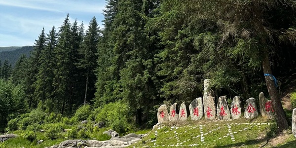 冶力关国家森林公园全景