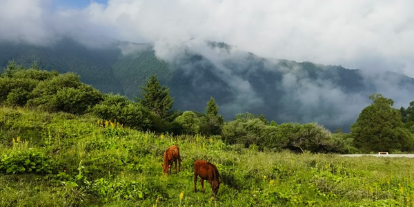 拉尕山藏寨全景