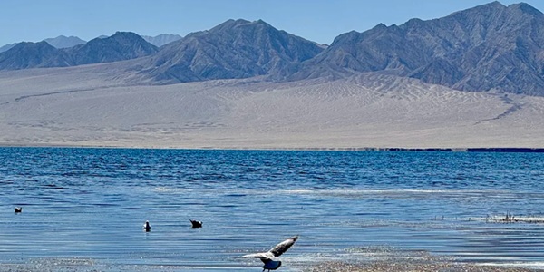 阿克塞苏干湖全景风光