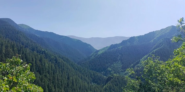 榆中县兴隆山自然保护区全景