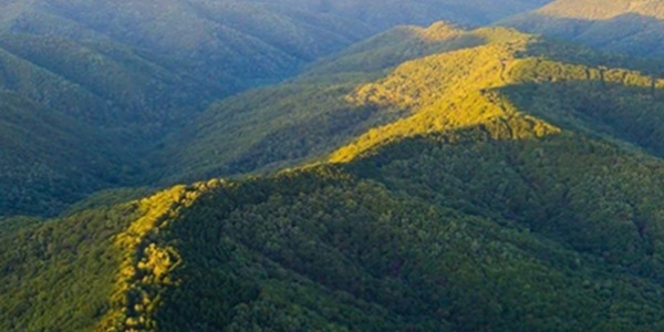 子午岭自然风光图