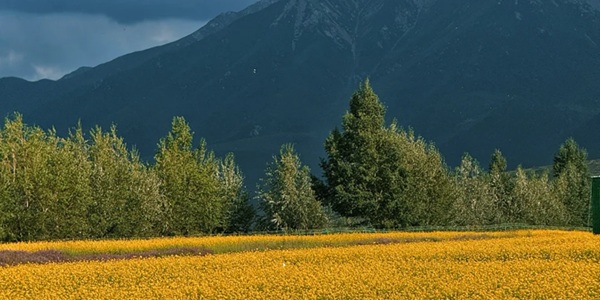 民乐扁都口峡谷全景航拍图