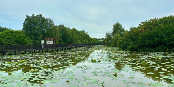 广州南沙区滨海生态风光