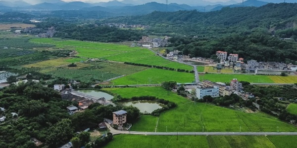 广州增城区山水田园风光