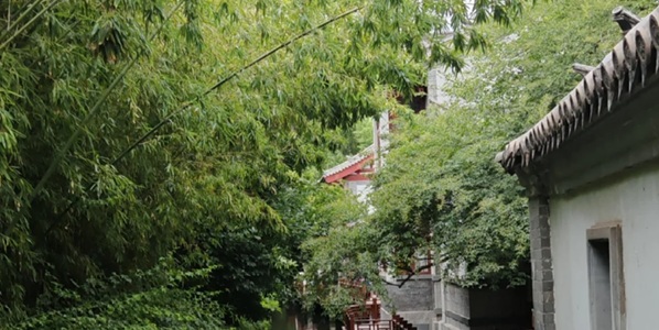 揭东万竹园全景图