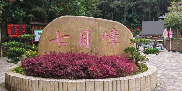 五华七目嶂原始森林全景图