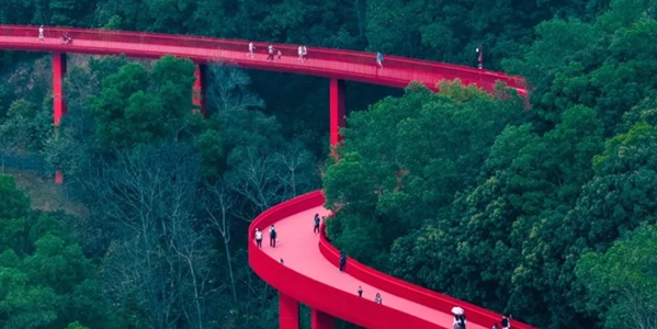 深圳光明区虹桥公园风光