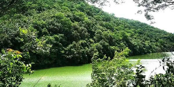 百色西林县驮娘江风光