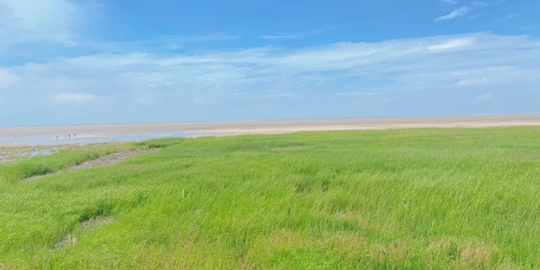 北海铁山港区青山头海滩生态景观