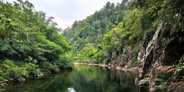 防城港防城区十万大山自然景区