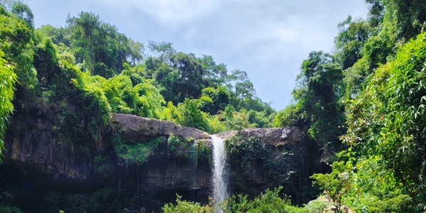 防城港上思县十万大山国家森林公园