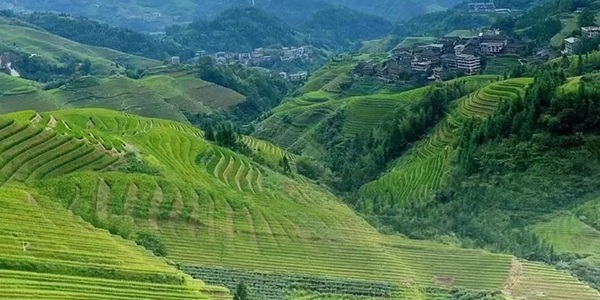 龙胜龙脊梯田风景区