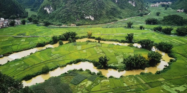 河池东兰县江平田园
