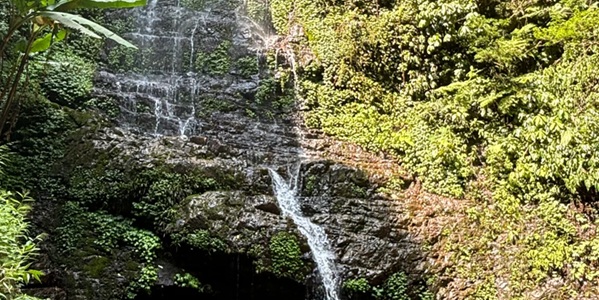 贺州八步区大桂山国家森林公园