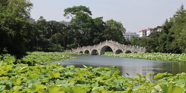 柳州柳北区雀儿山公园