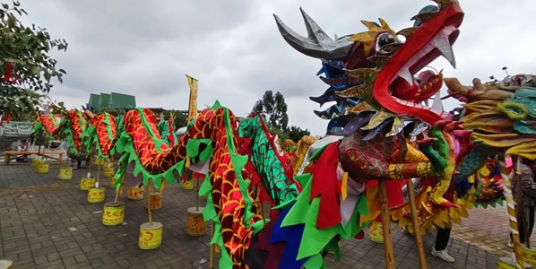 南宁宾阳县炮龙文化