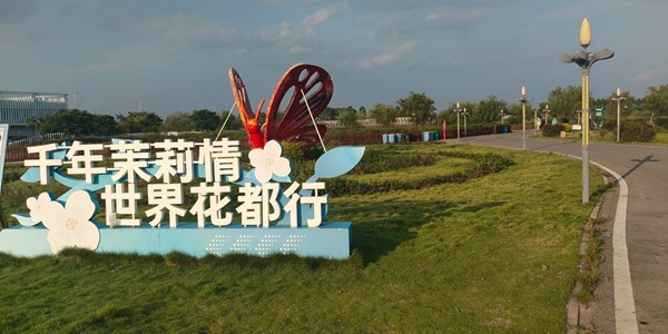 南宁横州市中华茉莉园