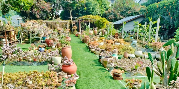 南宁西乡塘区美丽南方