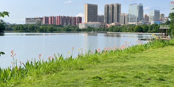 梧州长洲区城市风光