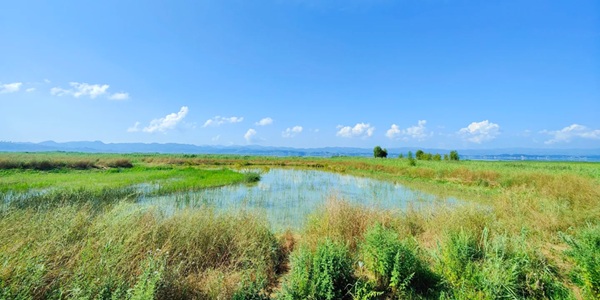 威宁草海自然保护区风光