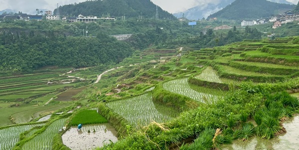 丹寨县高要梯田全景
