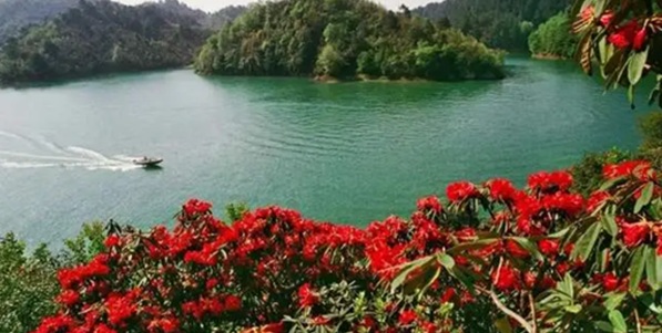 长顺杜鹃湖景观