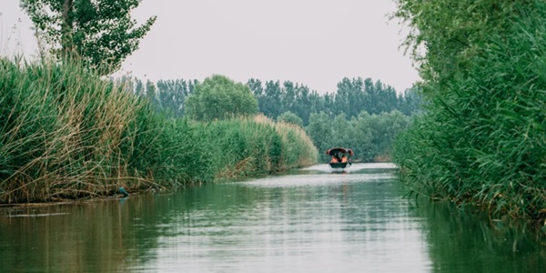 保定安新县白洋淀