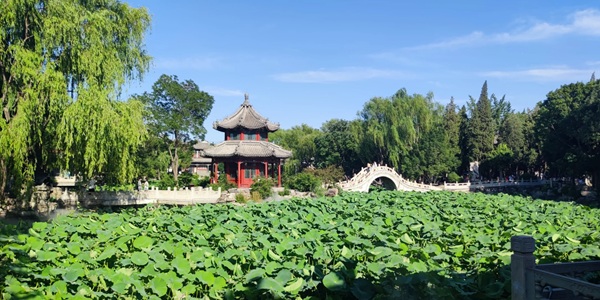 保定市莲池区古莲花池