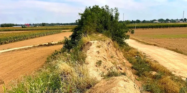 沧州市肃宁县武垣城遗址全景