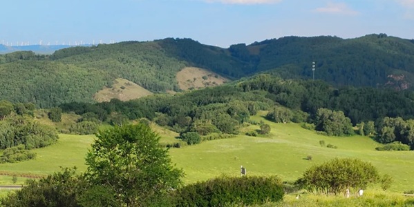 承德市围场满族蒙古族自治县塞罕坝森林公园
