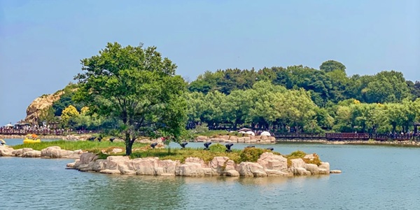 秦皇岛市北戴河区鸽子窝公园