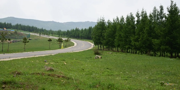 张家口市尚义县大青山森林公园